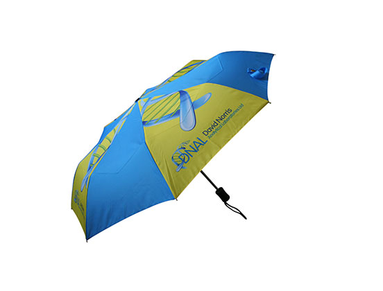 Pantone-Matched Printed Umbrella