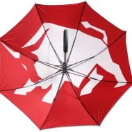 Custom design umbrella with special effects