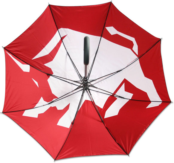 Custom design umbrella with special effects