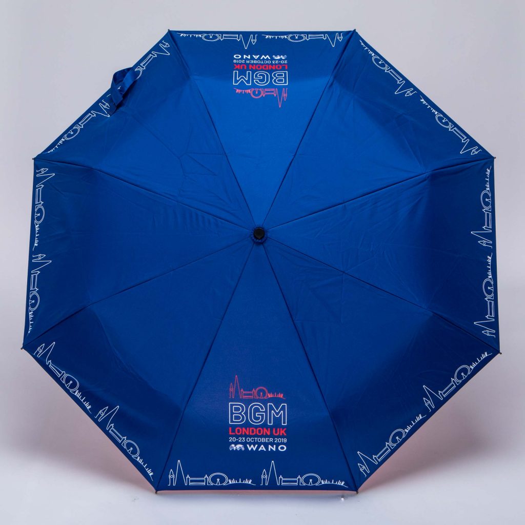 blue open umbrella influencers of consumer behaviour