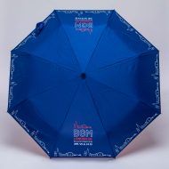 blue open umbrella influencers of consumer behaviour