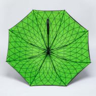 green inside print on umbrella