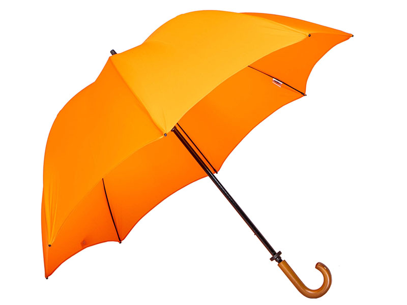 Luxury Printed Wood Walker Umbrella - Adapt