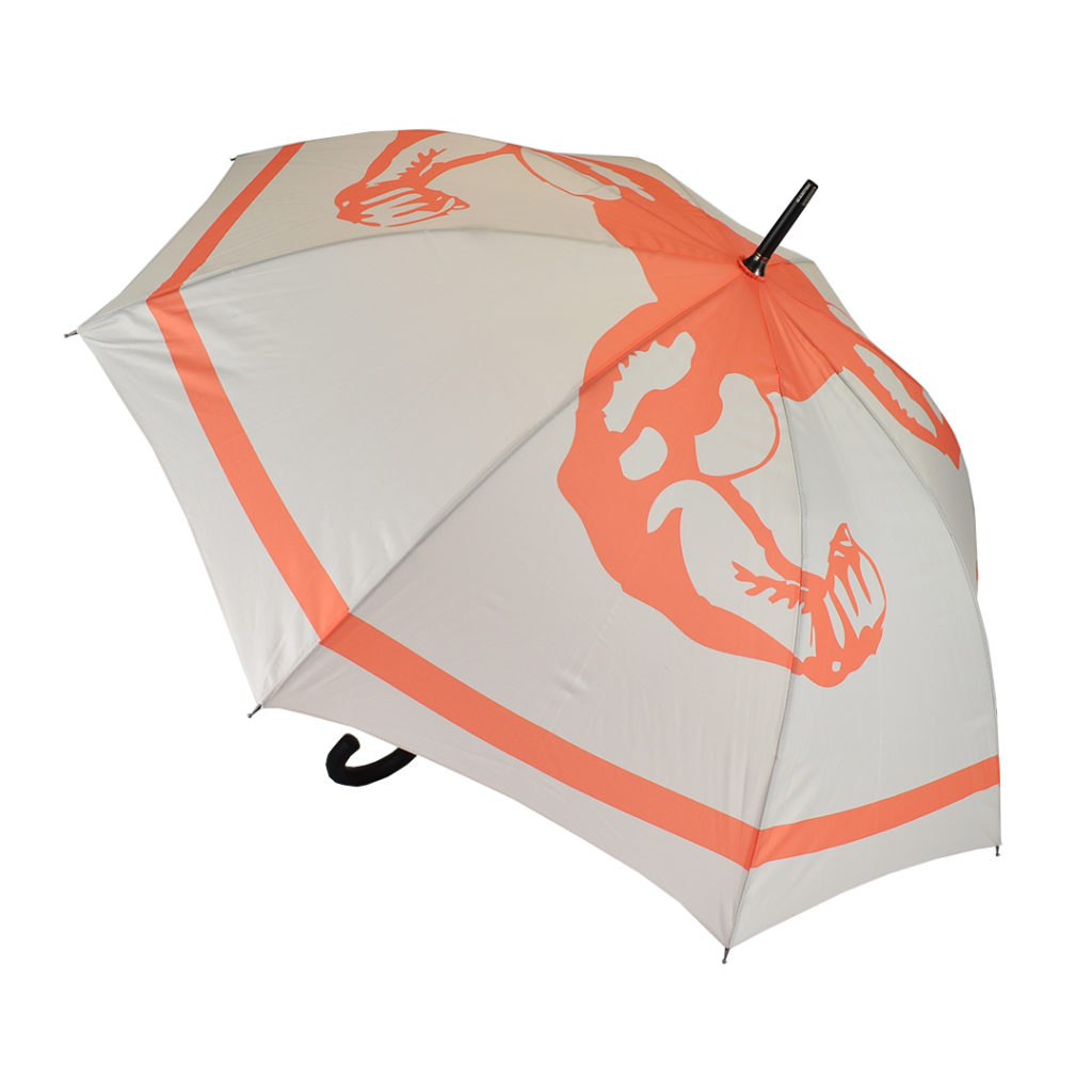 pantone-matched-logo-digitally-printed-on-umbrella