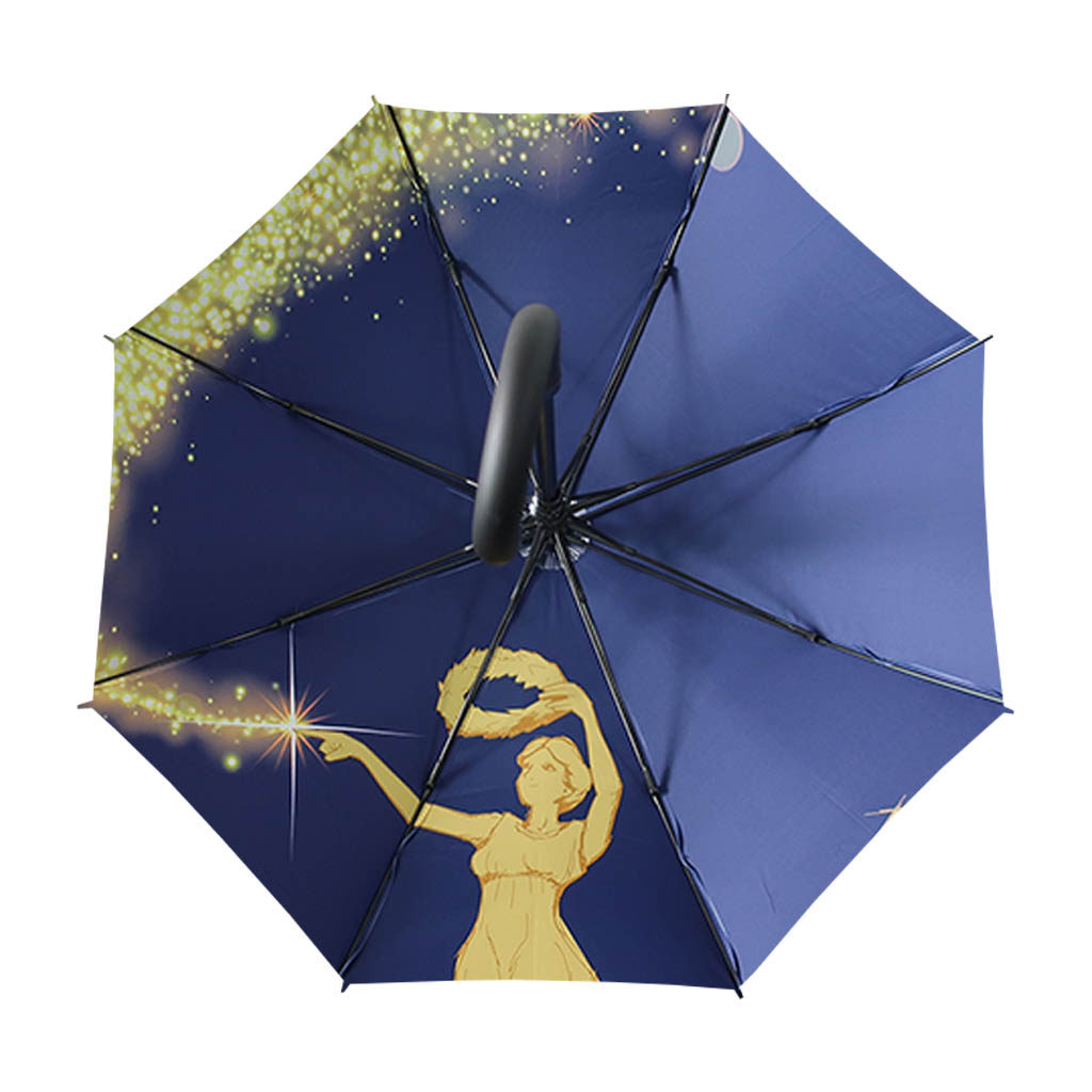 Disney magical print on umbrella shows how to make an umbrella