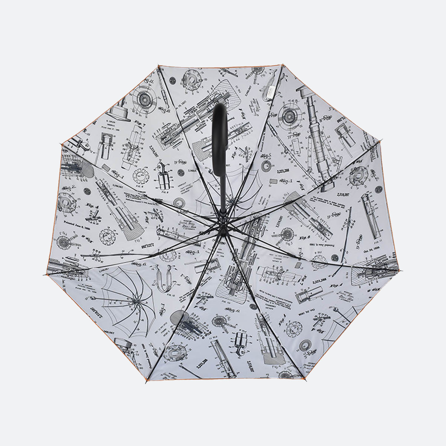 White inner canopy with black scientific drawings accross all panels