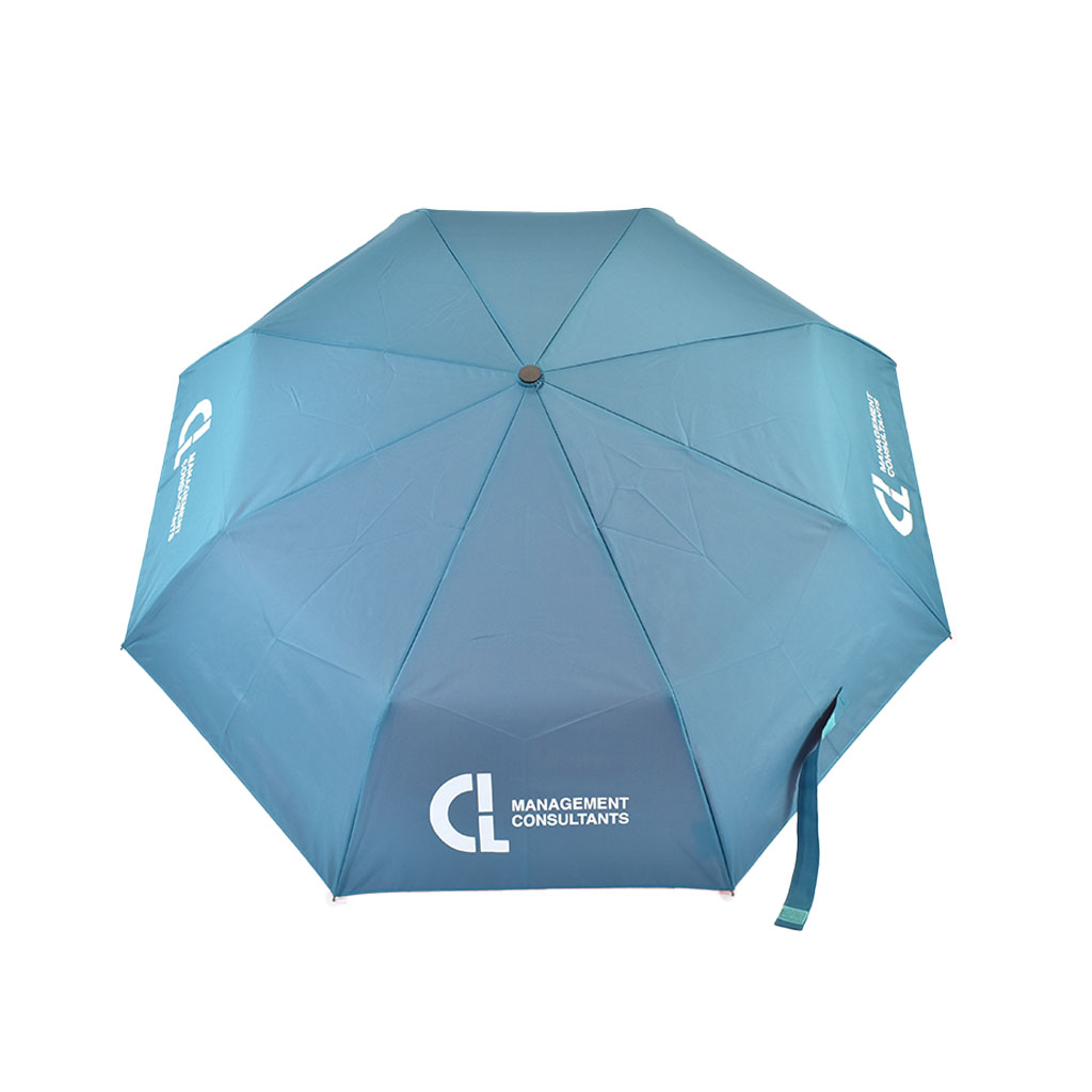 Custom Folding Umbrella for Management Consultancy | Branded Umbrellas ...
