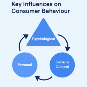 Key Influences on Consumer Behaviour infographics