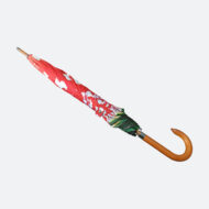 artist’s illustration printed on umbrella of mushroom and shows the umbrella closed with the wooden crook handle