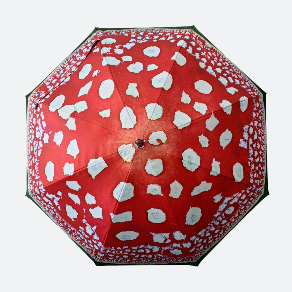 artist’s illustration printed on umbrella of mushroom shows top of umbrella with it open with red panels and white mishappen spots