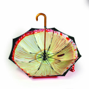 open view of Bristol Fungarium umbrella with red panels and wooden pole and curved handle. Inside panels show underside of mushroom