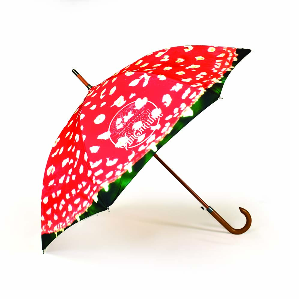 Side view of Bristol Fungarium umbrella with red panels and wooden pole and curved handle