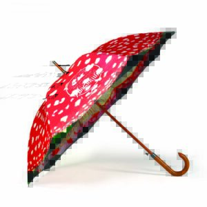 Side view of Bristol Fungarium umbrella with red panels and wooden pole and curved handle. Underside of umbrella shows print of mushroom