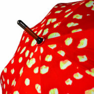 Wooden tip of Bristol Fungarium umbrella with red panels