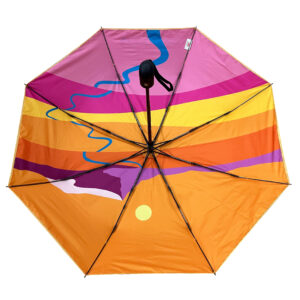 open view of Leysin American School umbrella inside panels