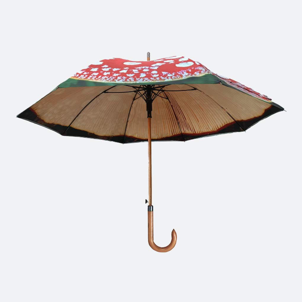 Bristol Fungarium mushroom umbrella